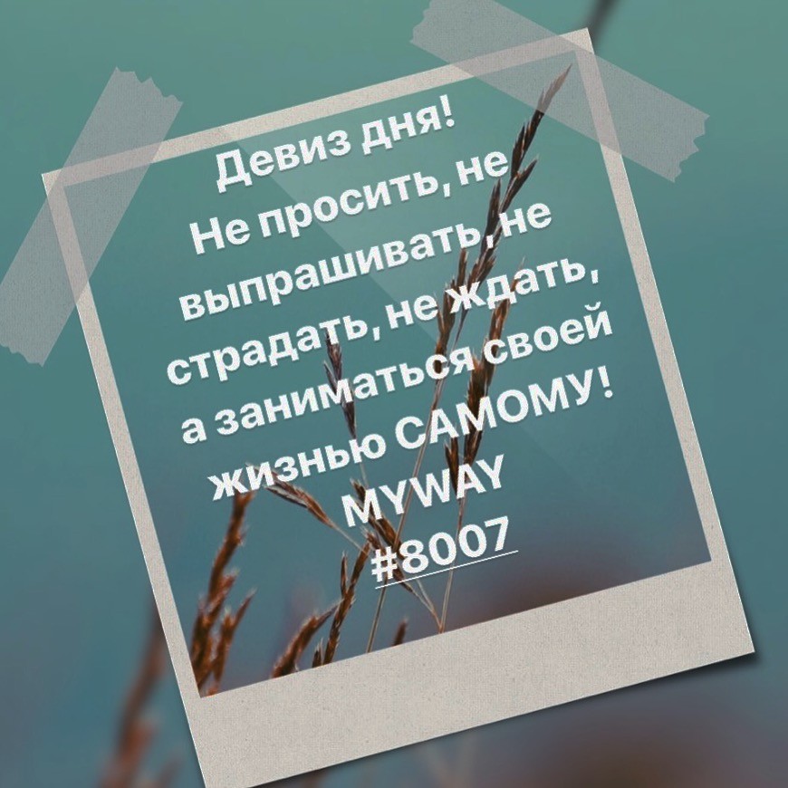 Порадоваться