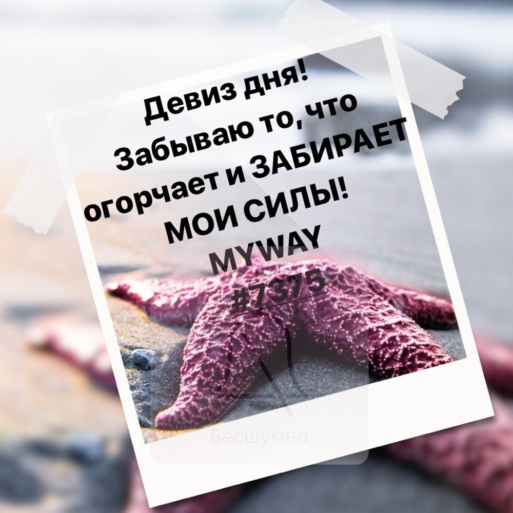 Порадоваться