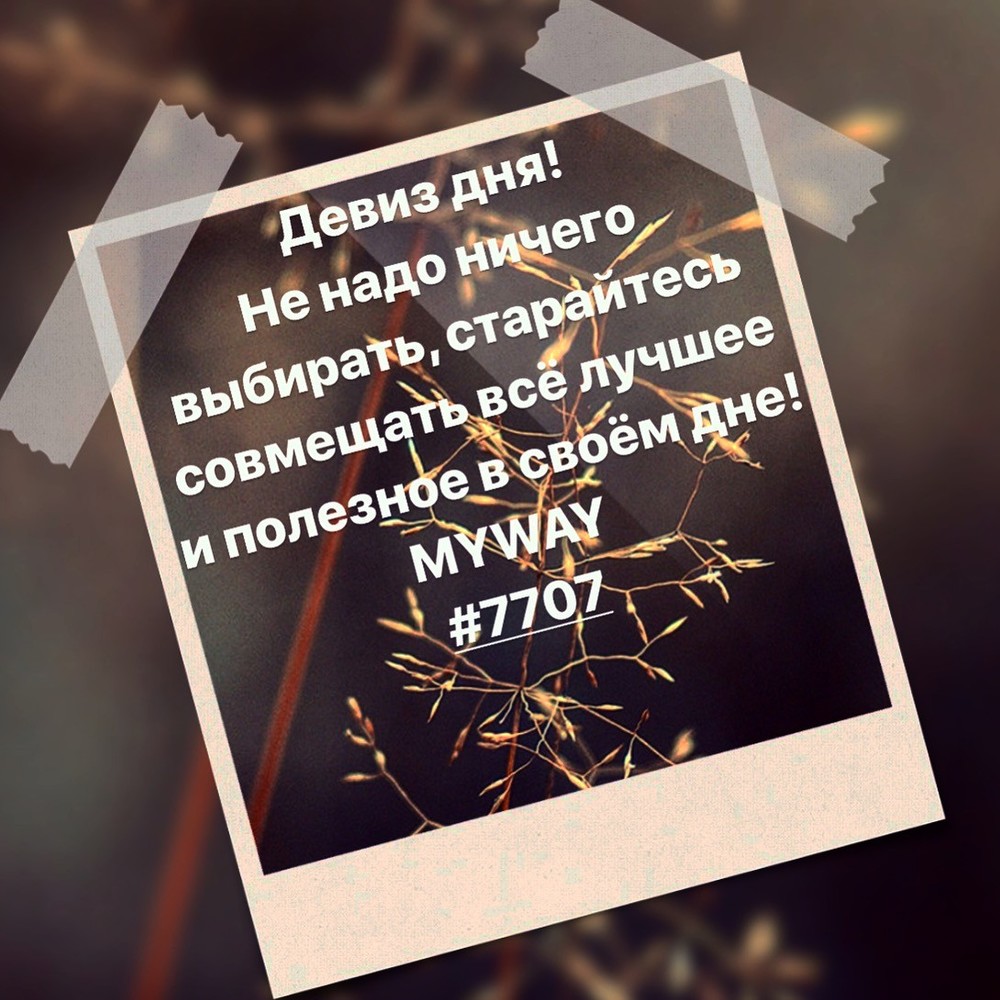 Порадоваться