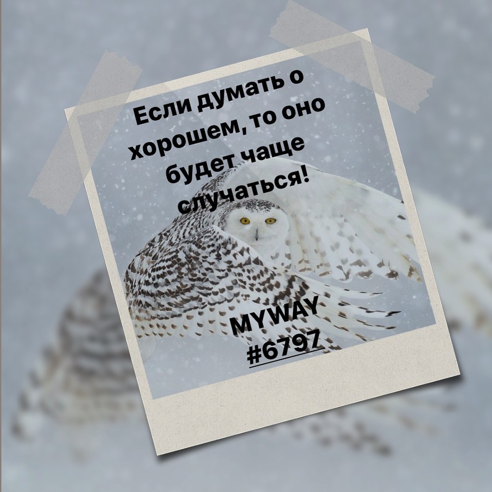 Порадоваться