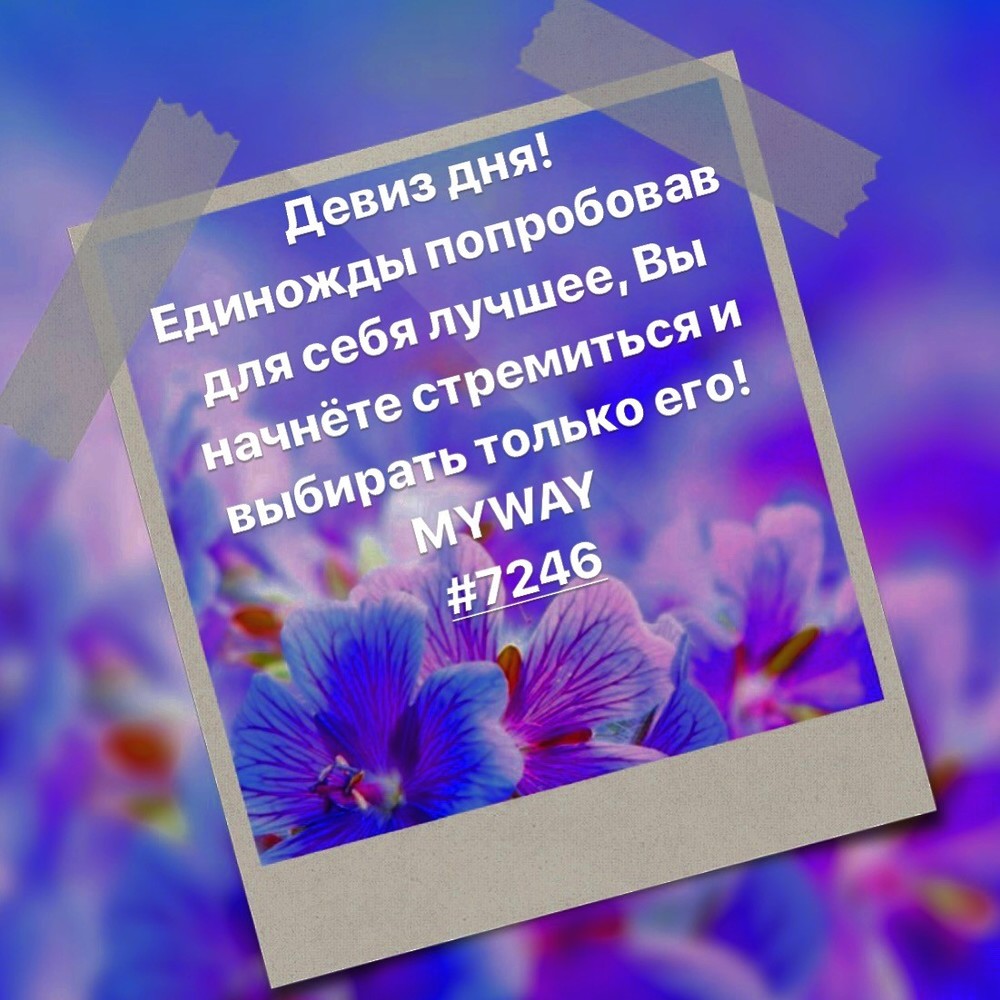 Порадоваться