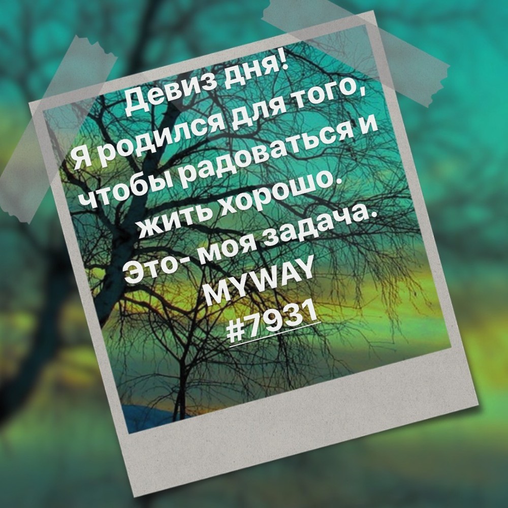 Порадоваться