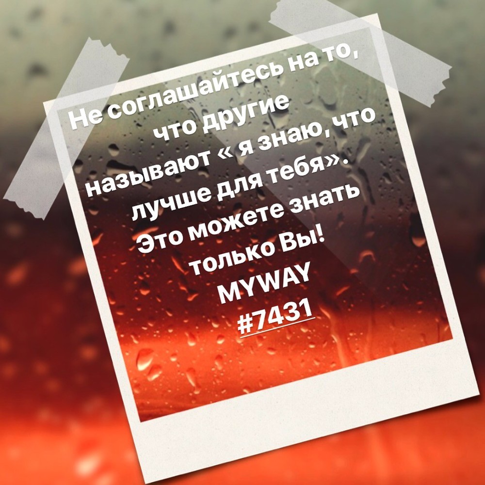 Порадоваться