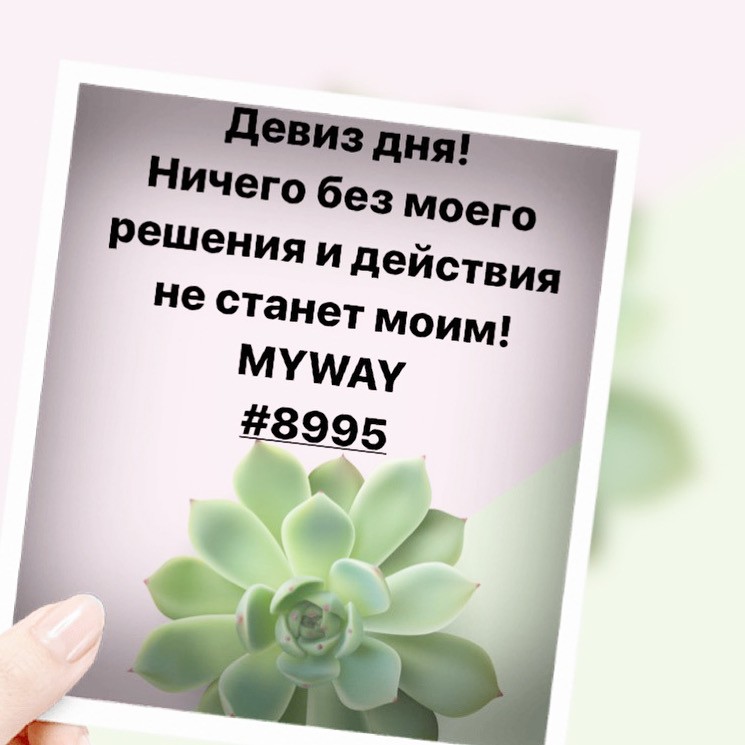 Порадоваться