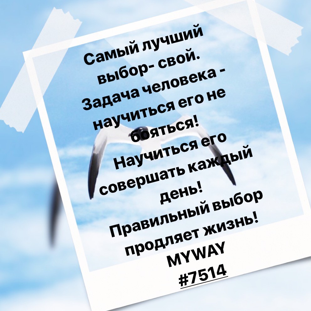 Порадоваться