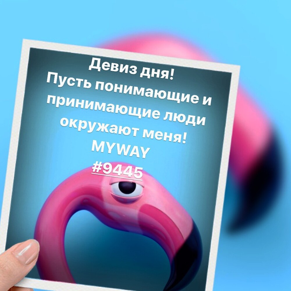 Порадоваться