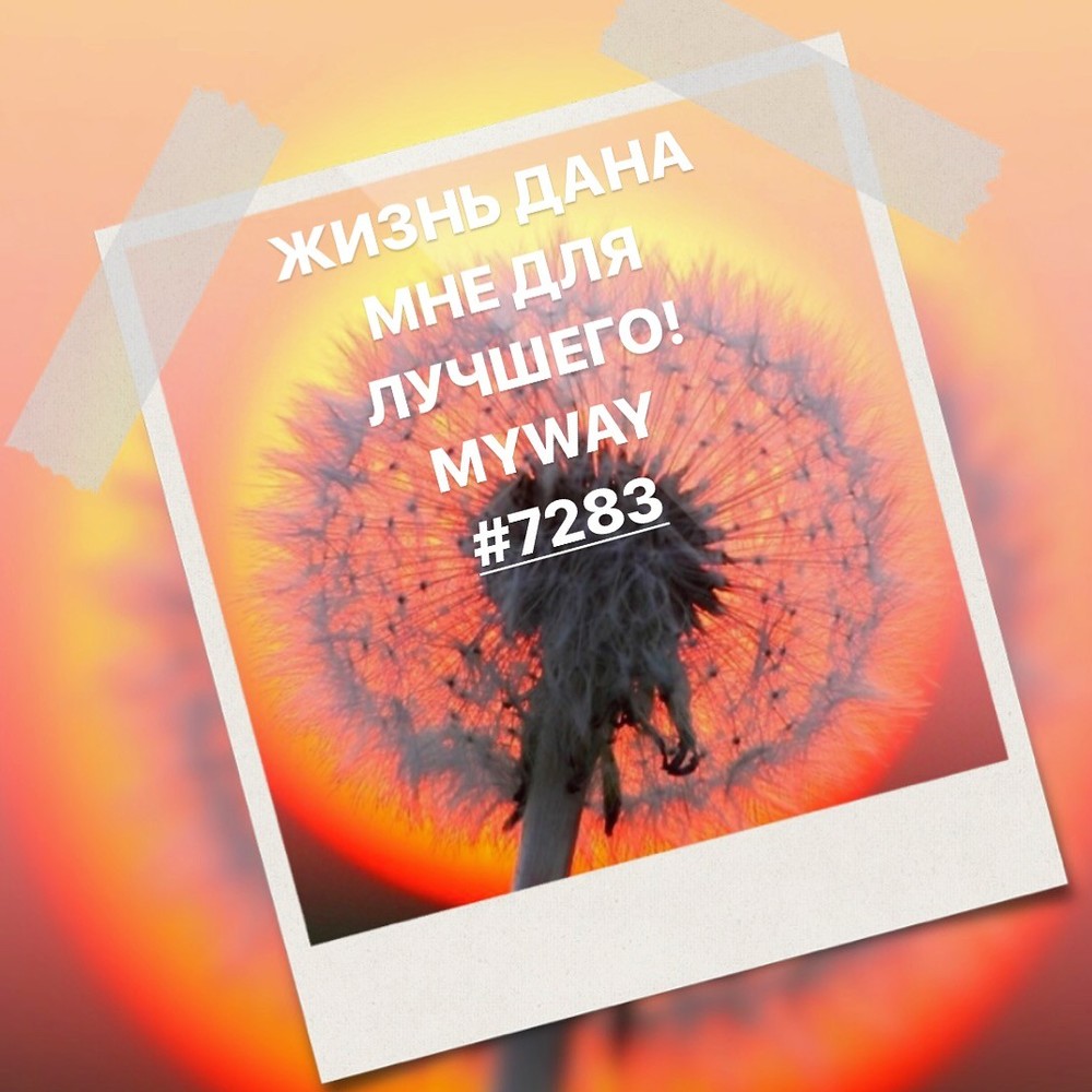 Порадоваться