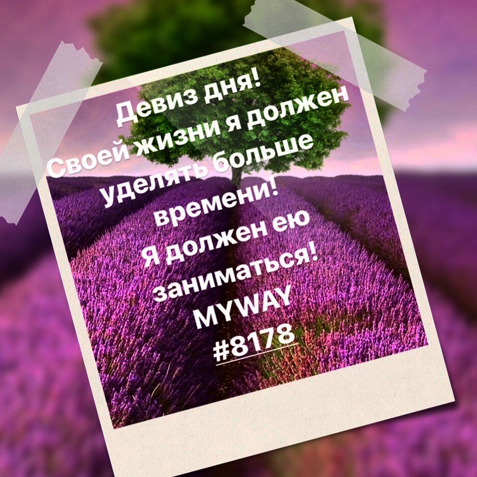 Порадоваться