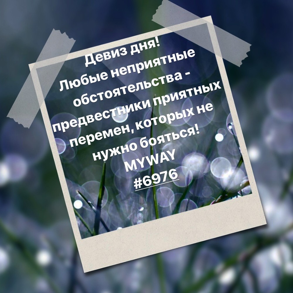Порадоваться