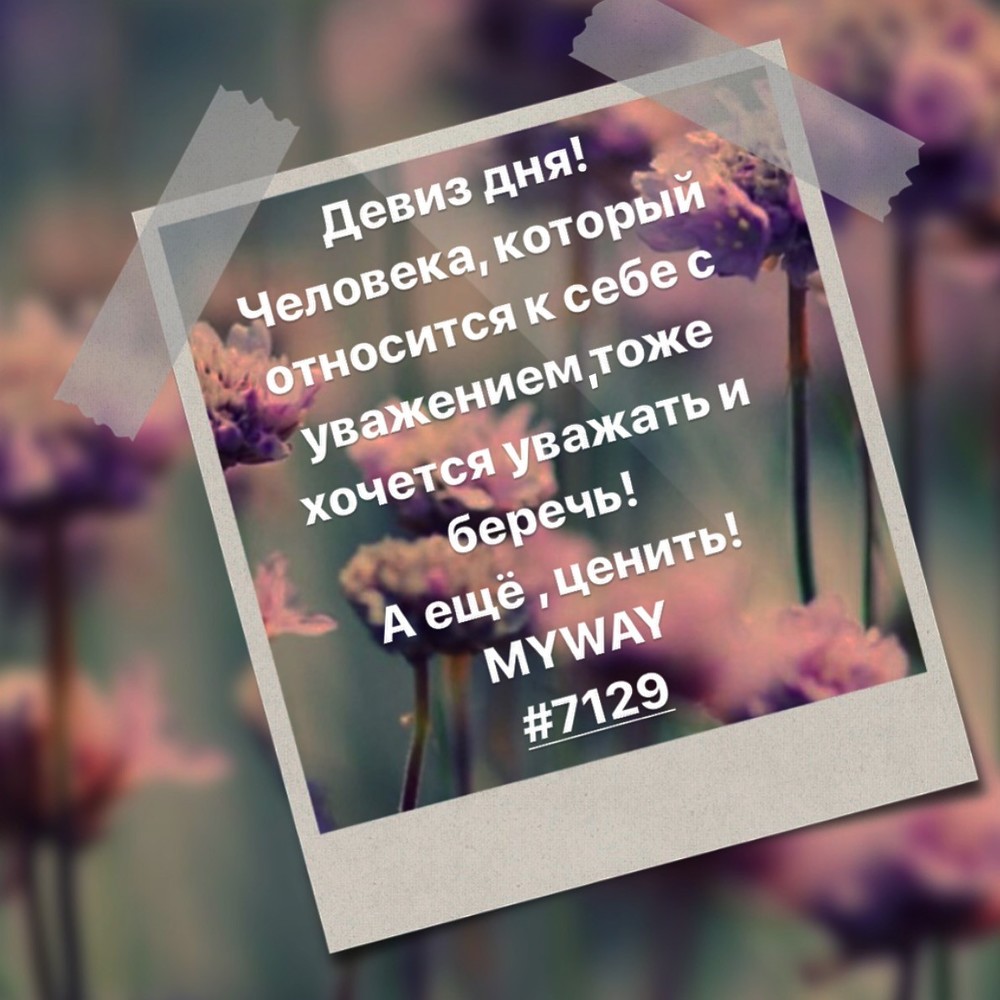 Порадоваться