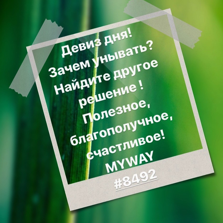 Порадоваться