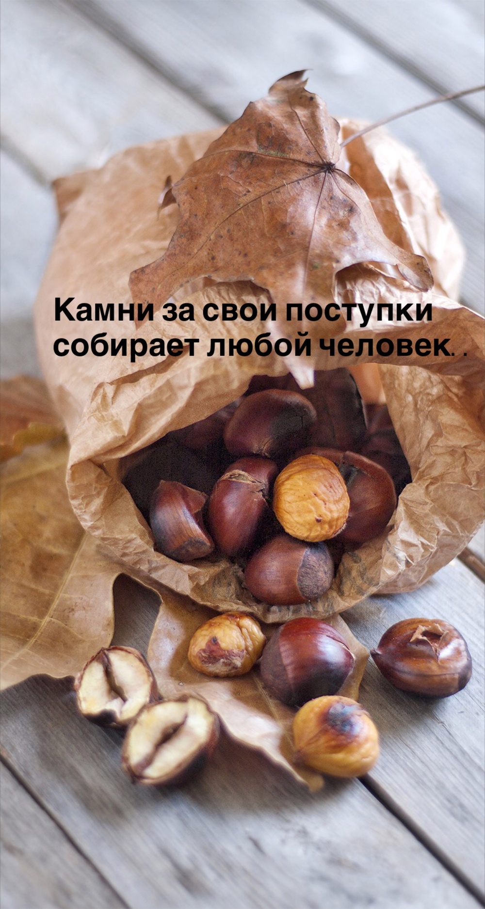 Порадоваться
