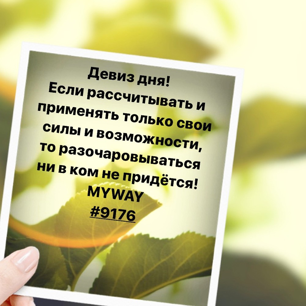 Порадоваться