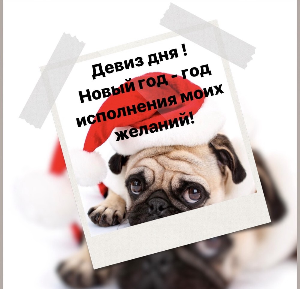 Порадоваться