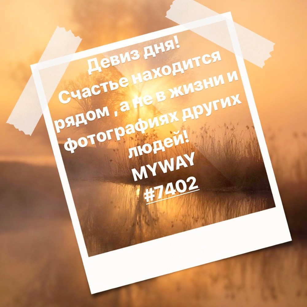 Порадоваться