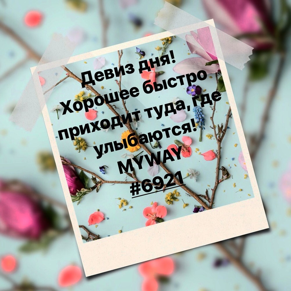 Порадоваться