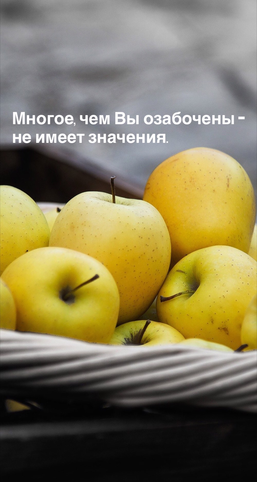 Порадоваться