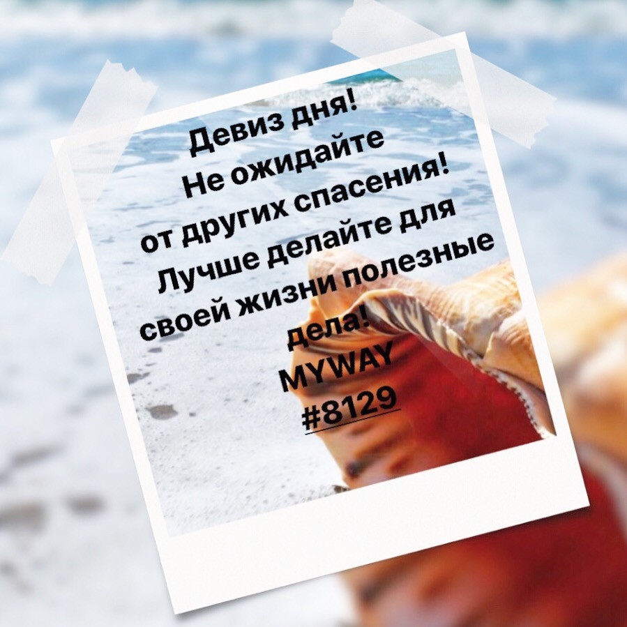 Порадоваться