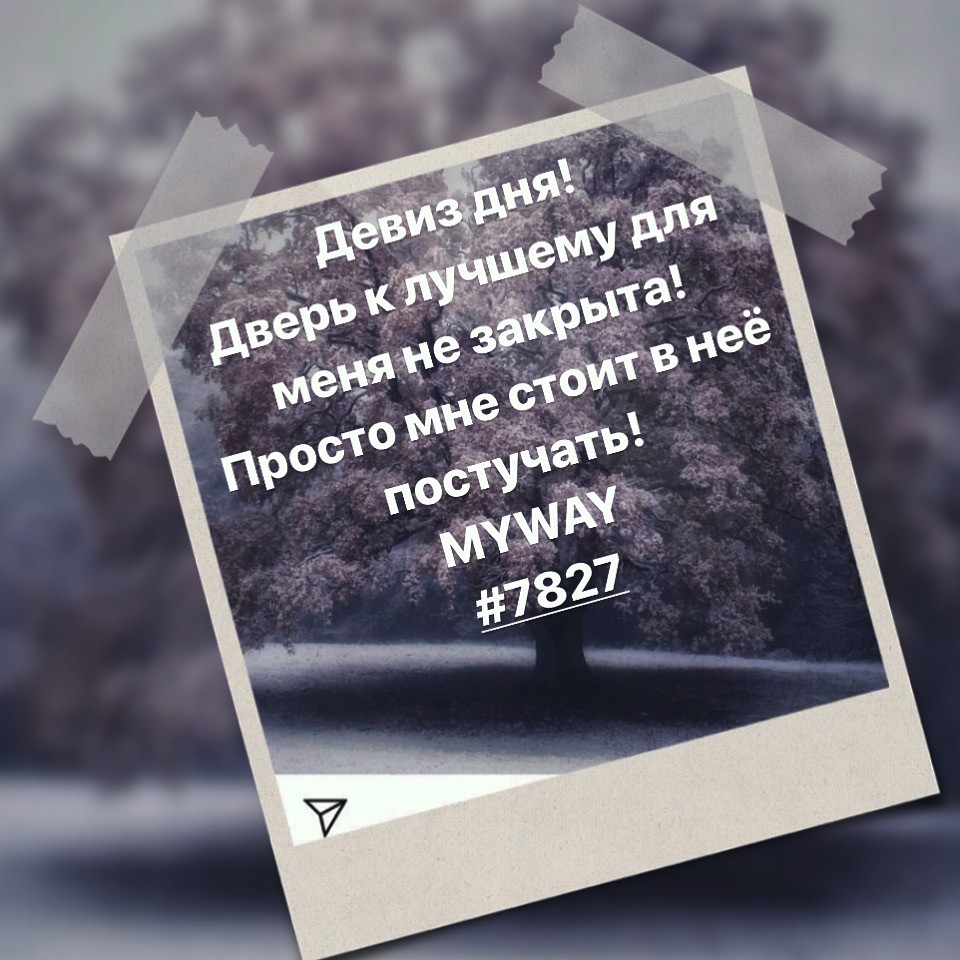 Порадоваться