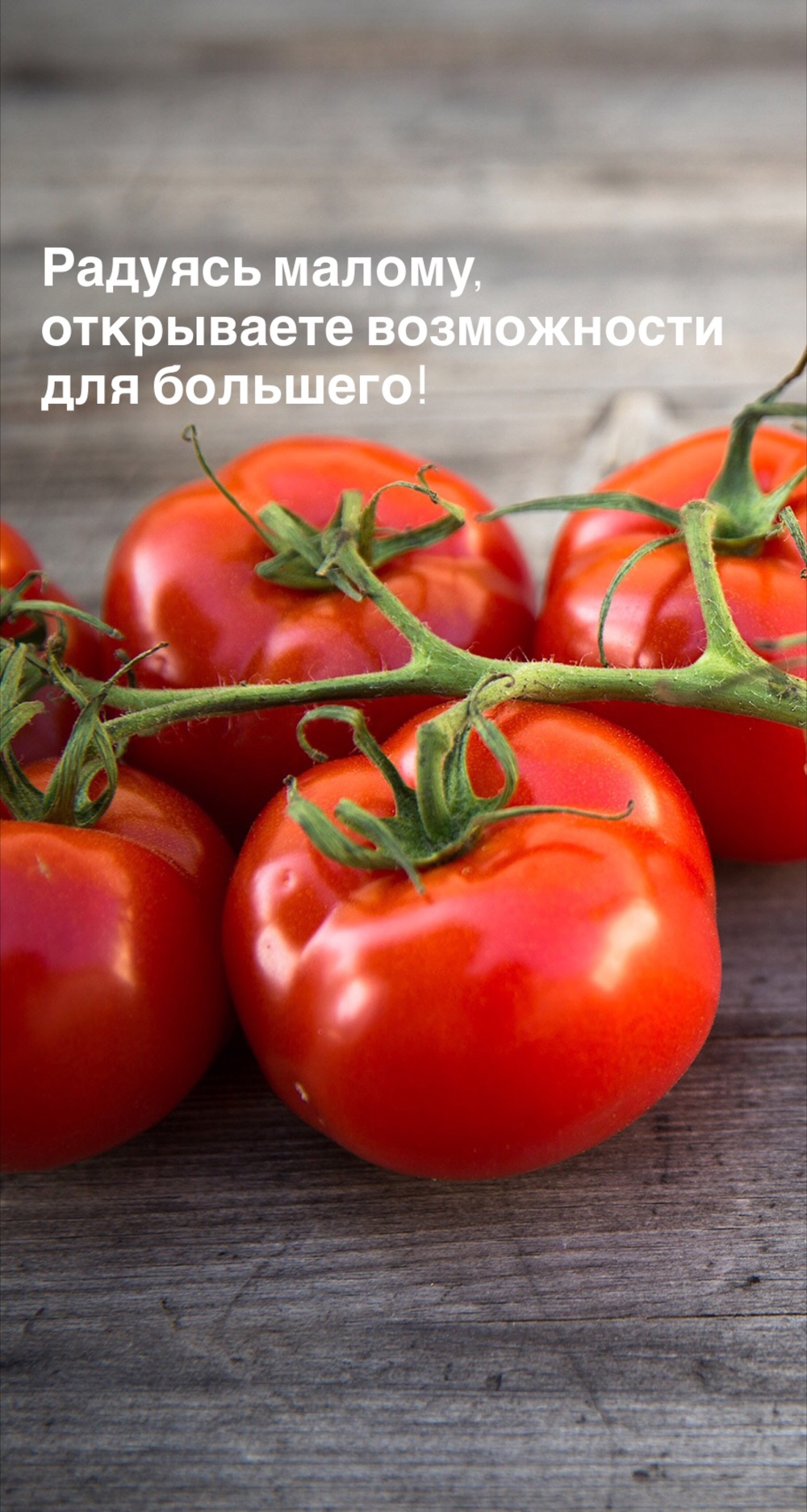 Порадоваться