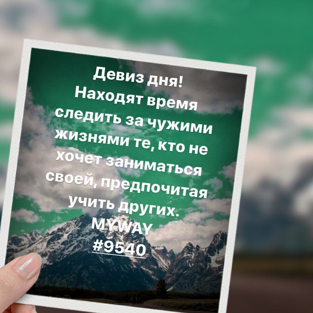 Порадоваться