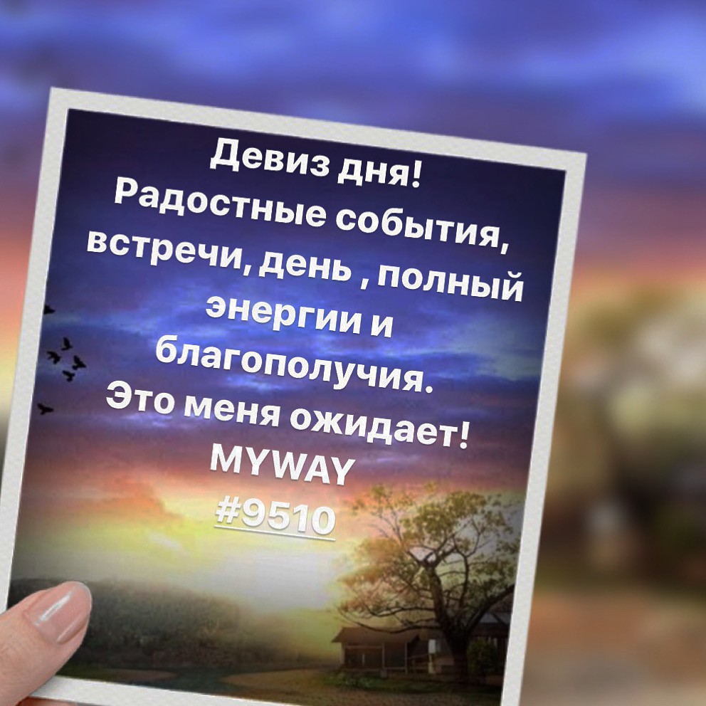 Порадоваться