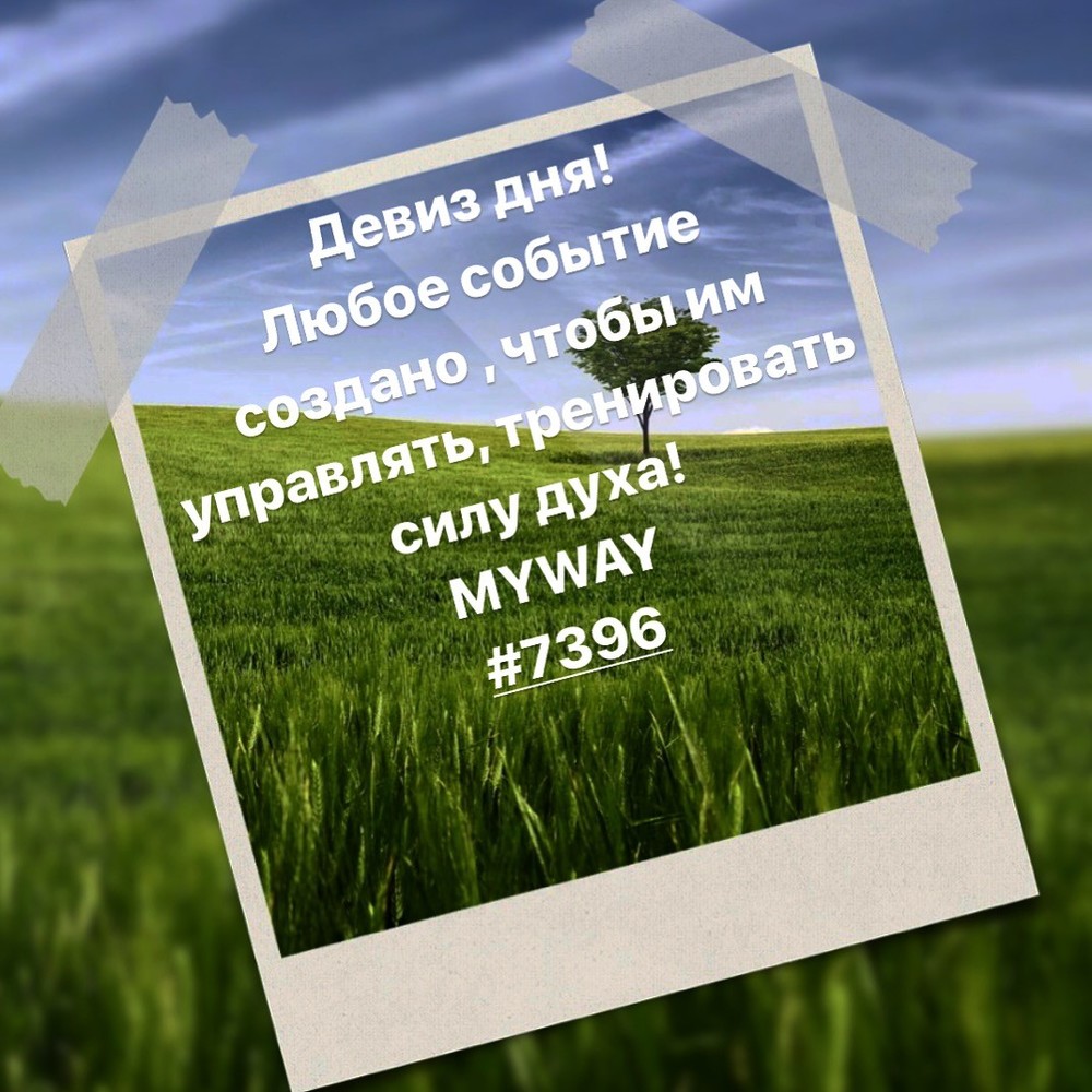 Порадоваться