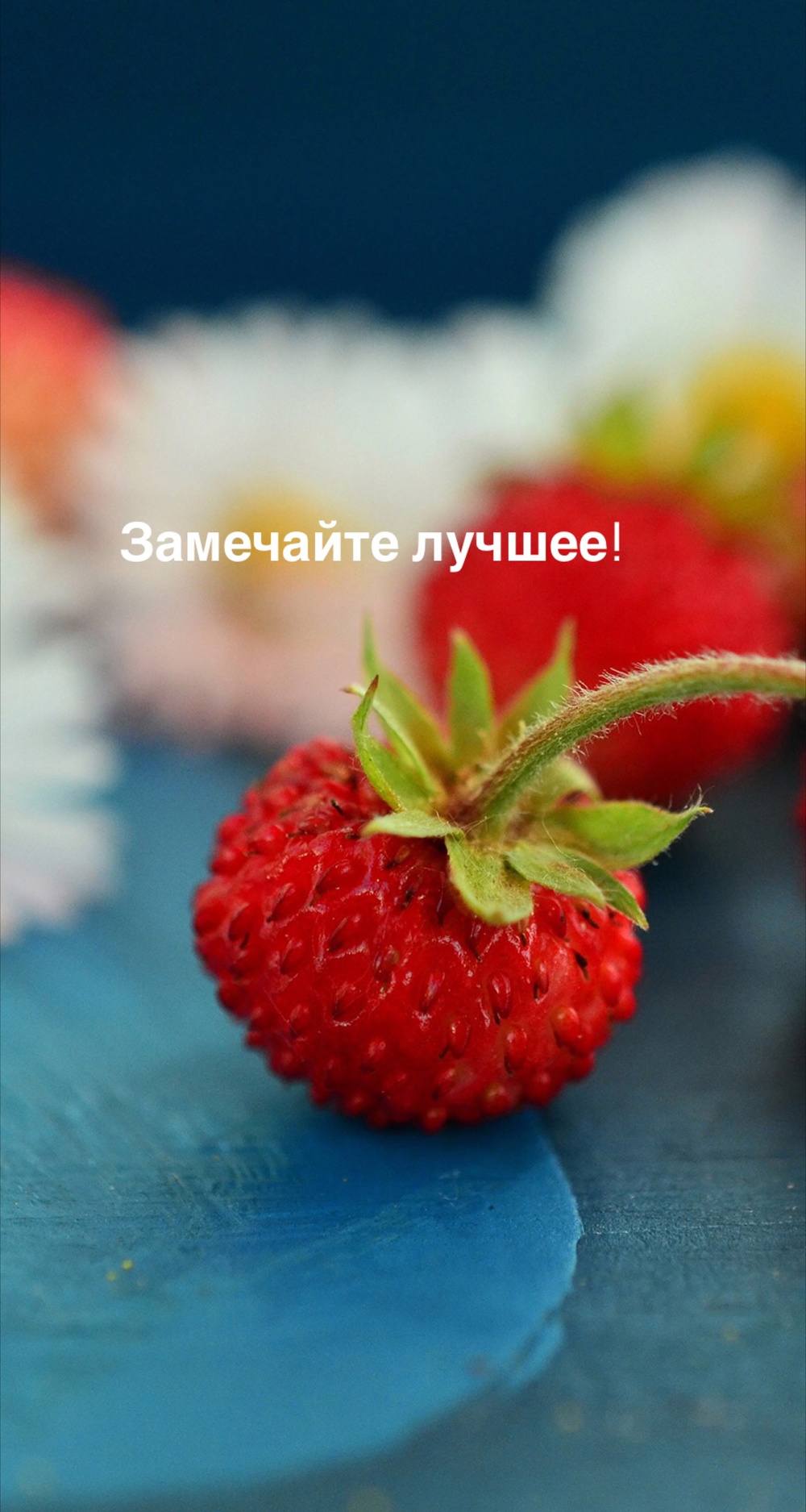 Порадоваться