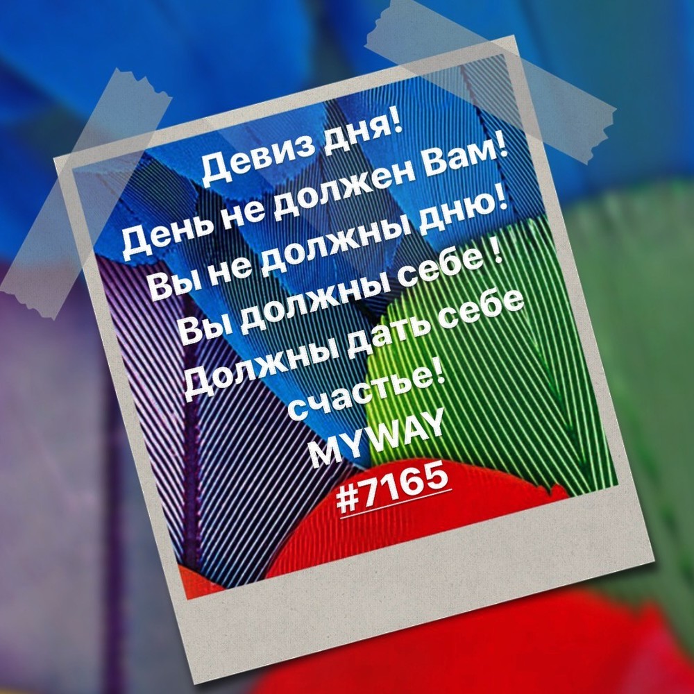 Порадоваться