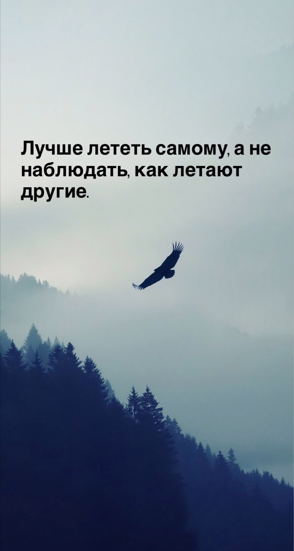 Порадоваться