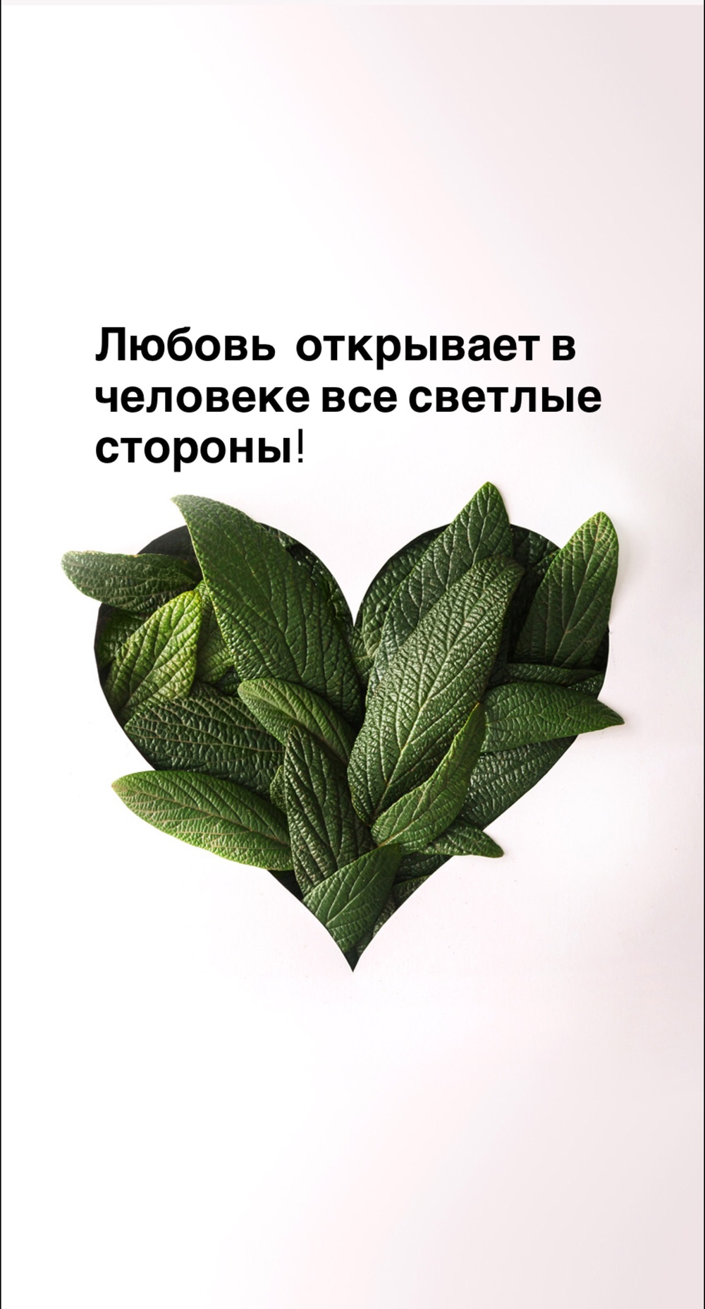 Порадоваться