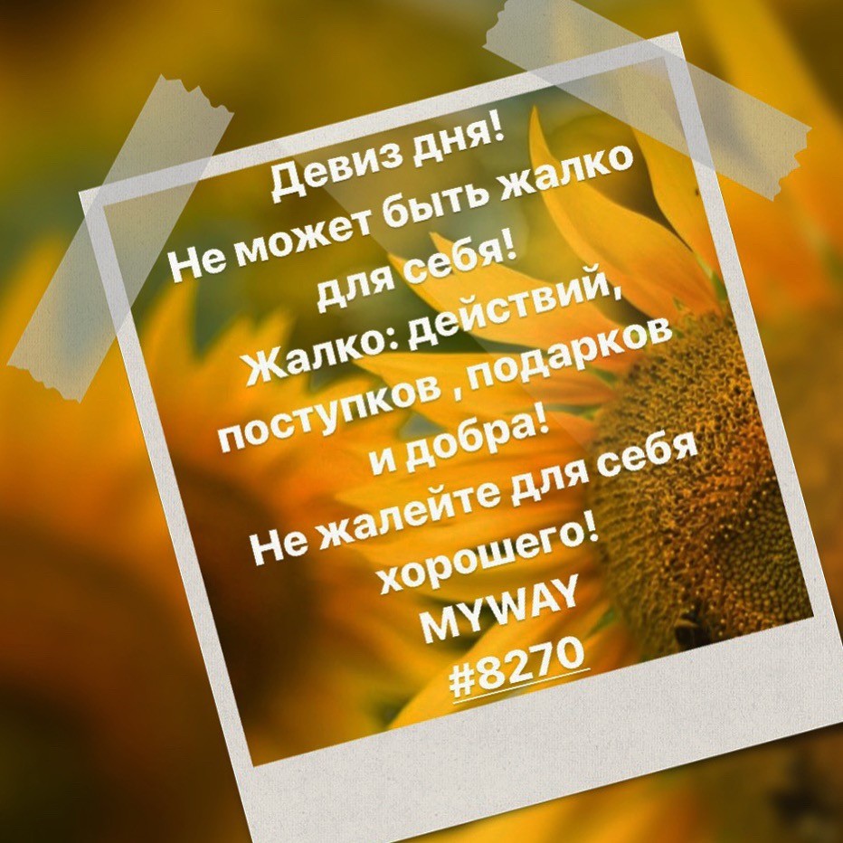 Порадоваться