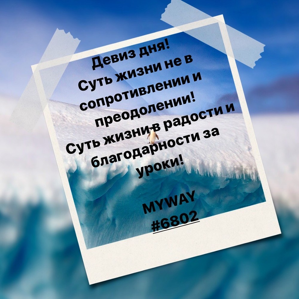 Порадоваться
