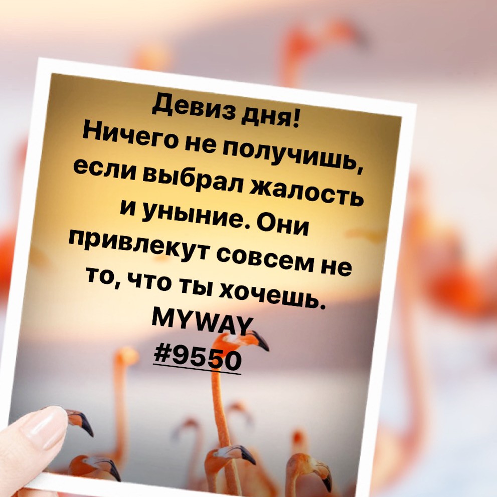 Порадоваться