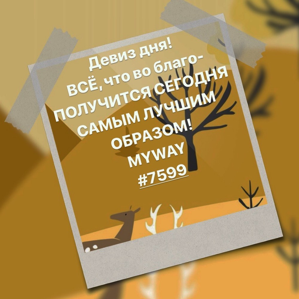 Порадоваться