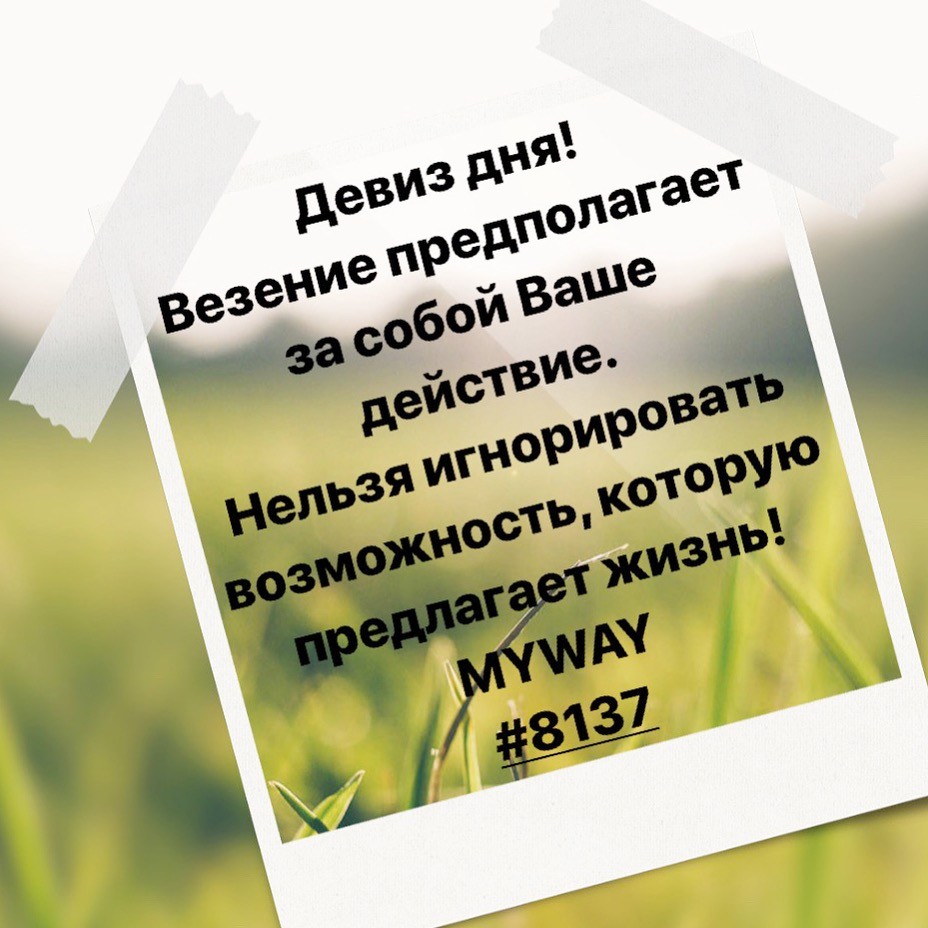 Порадоваться