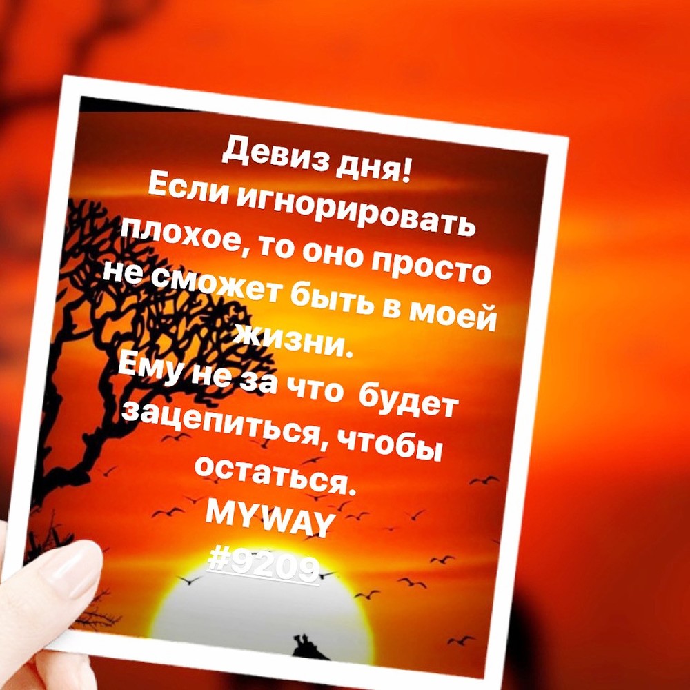 Порадоваться
