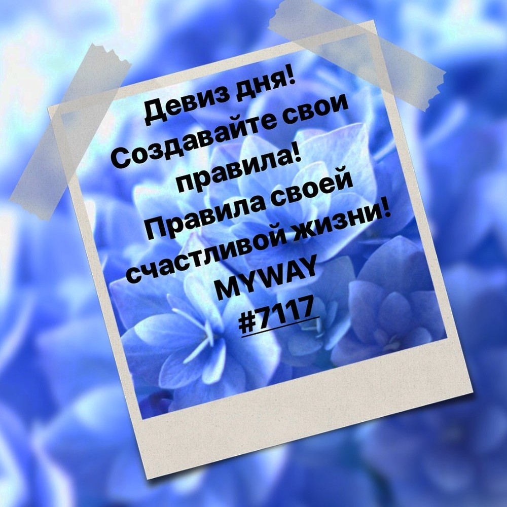 Порадоваться