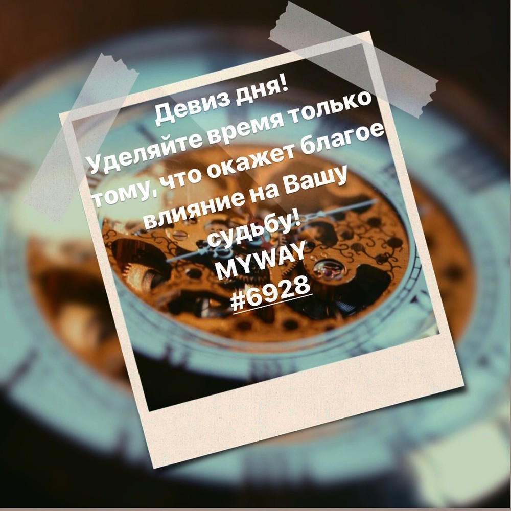Порадоваться