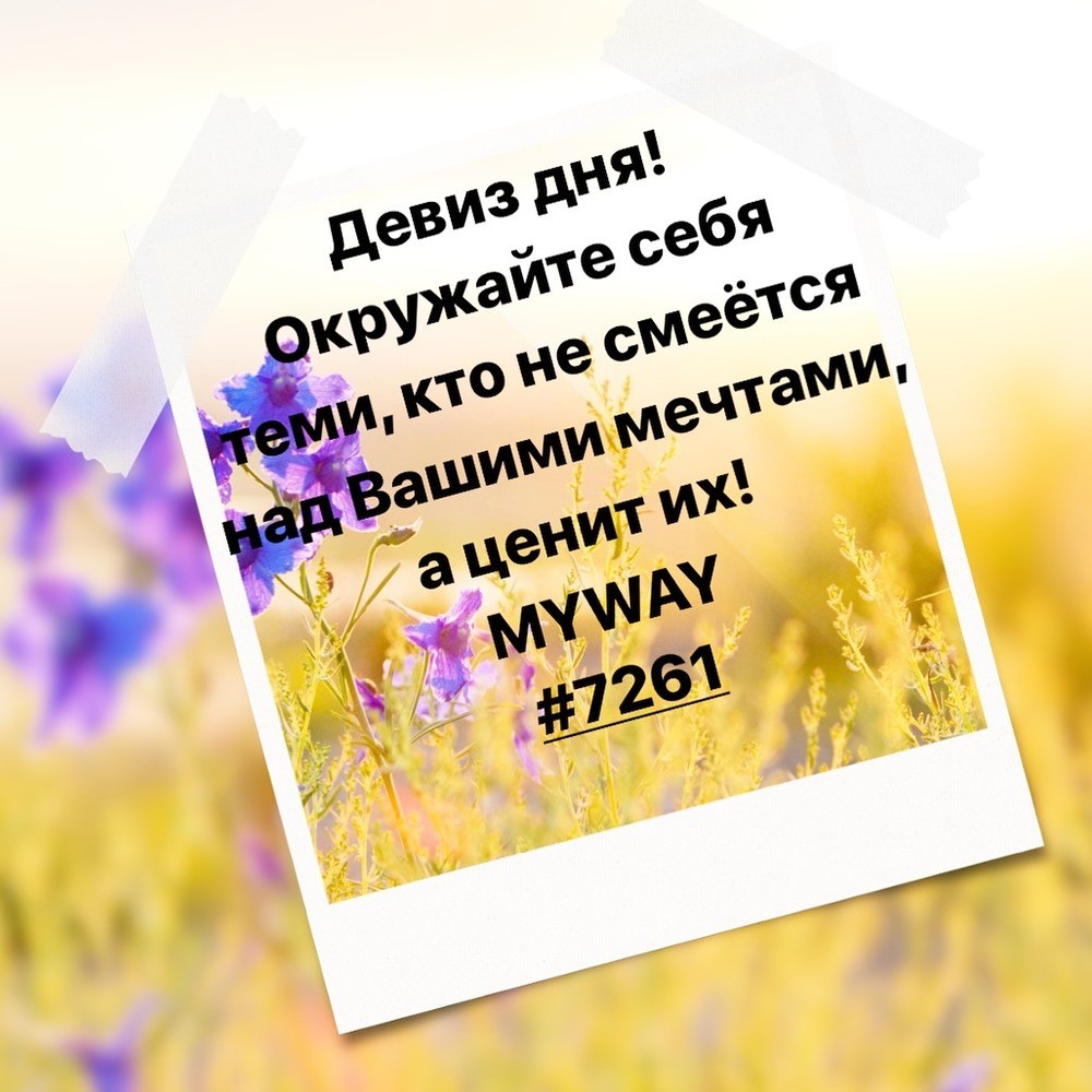Порадоваться
