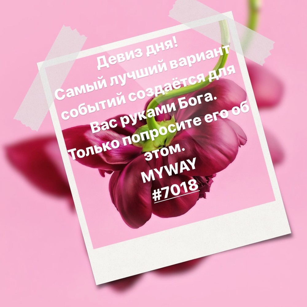 Порадоваться