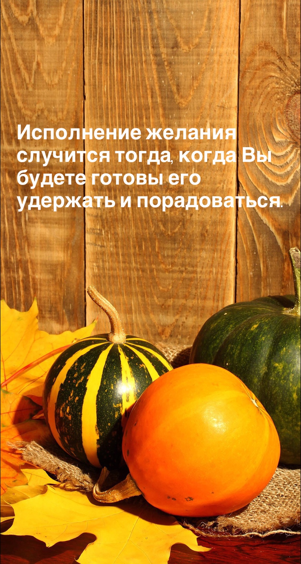 Порадоваться