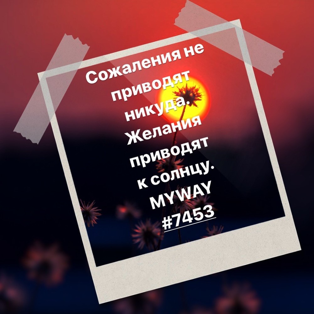 Порадоваться