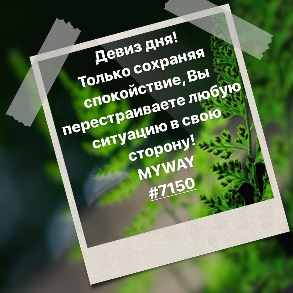 Порадоваться