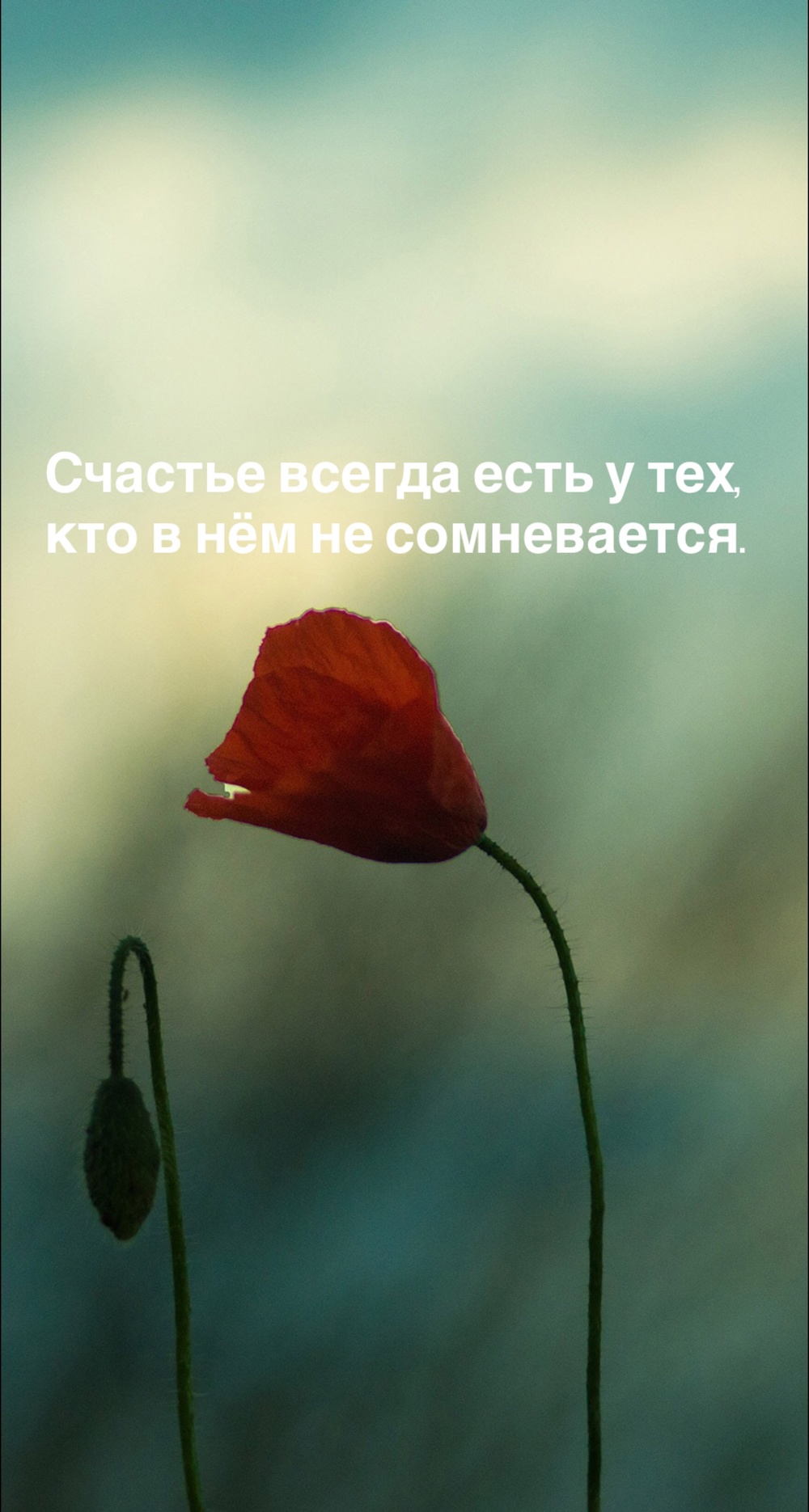 Порадоваться