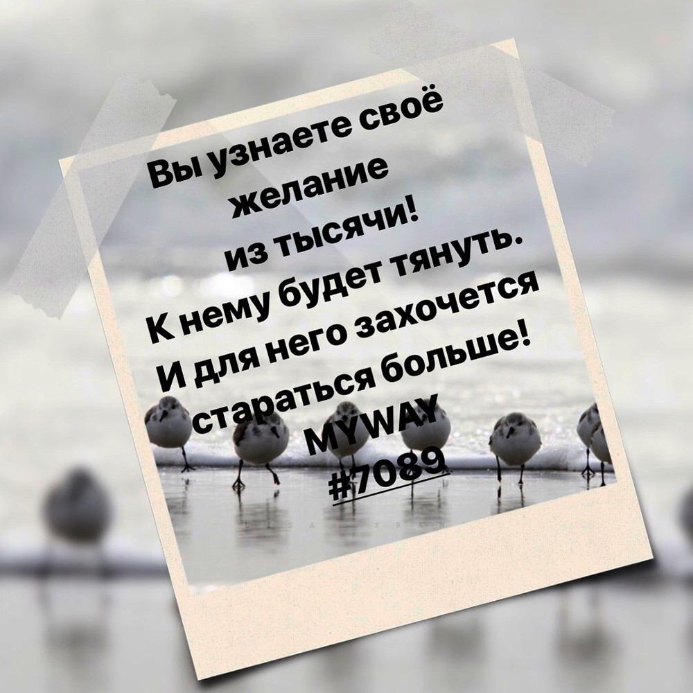 Порадоваться