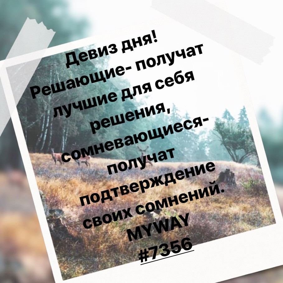 Порадоваться