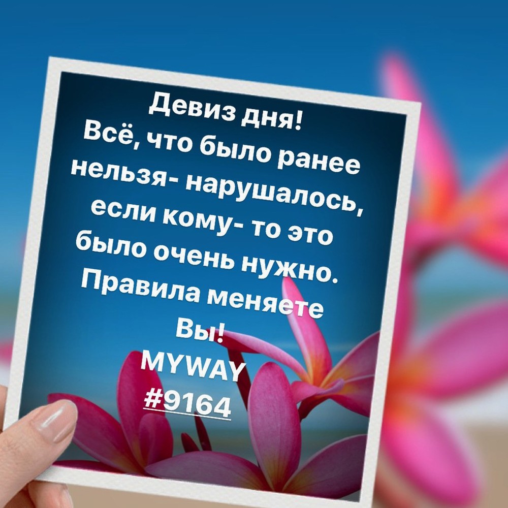 Порадоваться