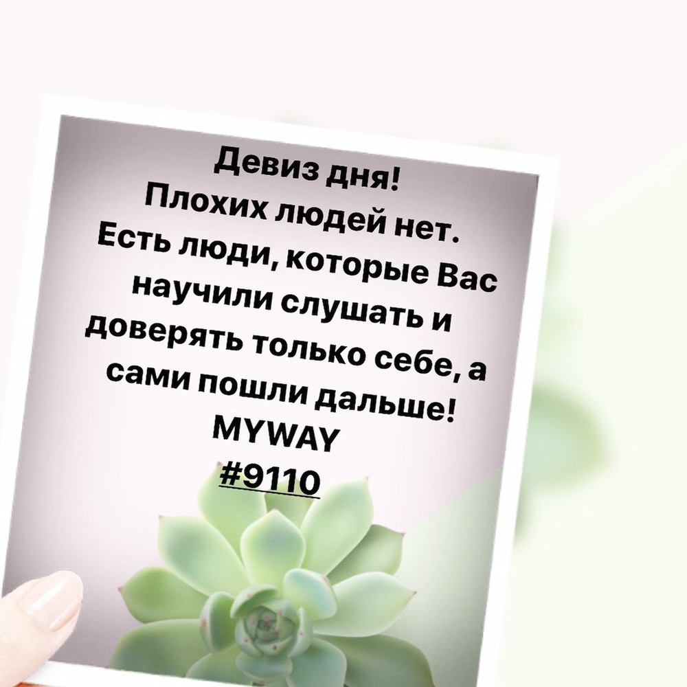 Порадоваться