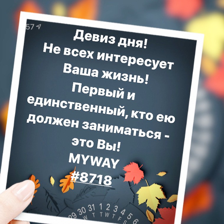 Порадоваться